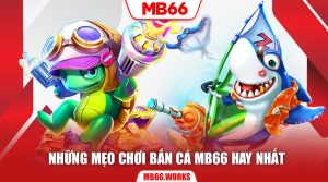 Chơi bắn cá nên áp dụng mẹo chơi theo cách linh hoạt tùy tình hình cụ thể 