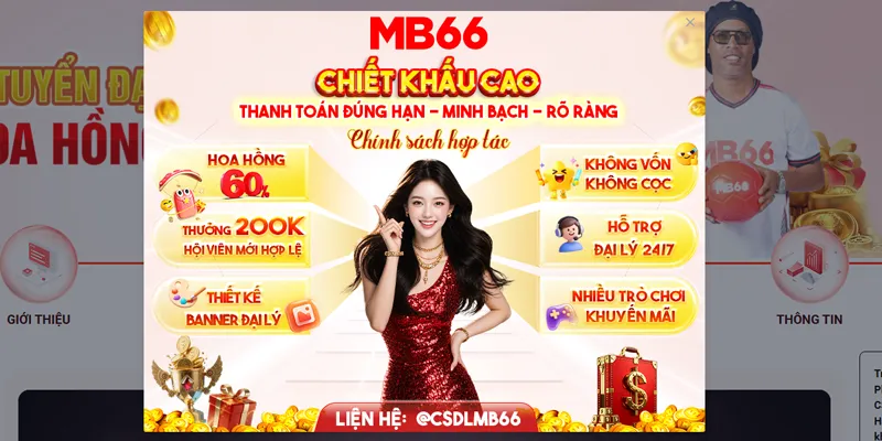 chương trình đại lý của mb66
